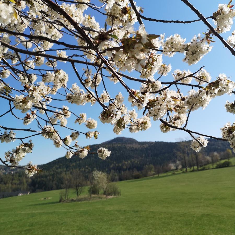 Ferienhaus Waltersdorf Großschönau Εξωτερικό φωτογραφία