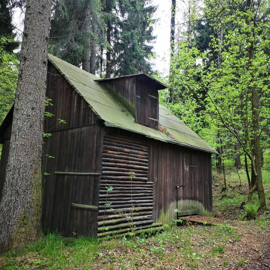Ferienhaus Waltersdorf Großschönau Εξωτερικό φωτογραφία